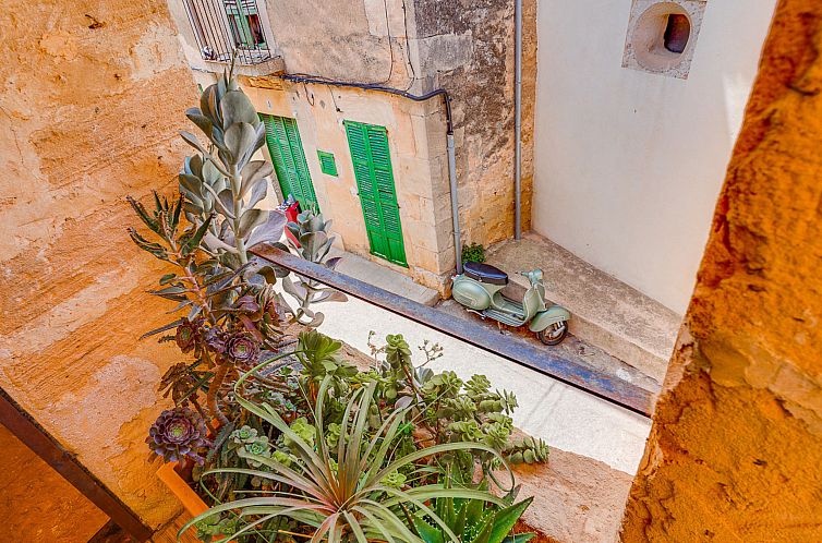 Vakantiehuis SES SALINES TERRACE HOME