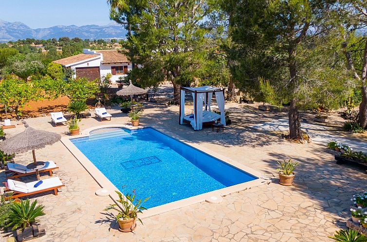 Verblijf 16014405 - Vakantiewoning Mallorca - Vakantiehuis Mulet Llubi