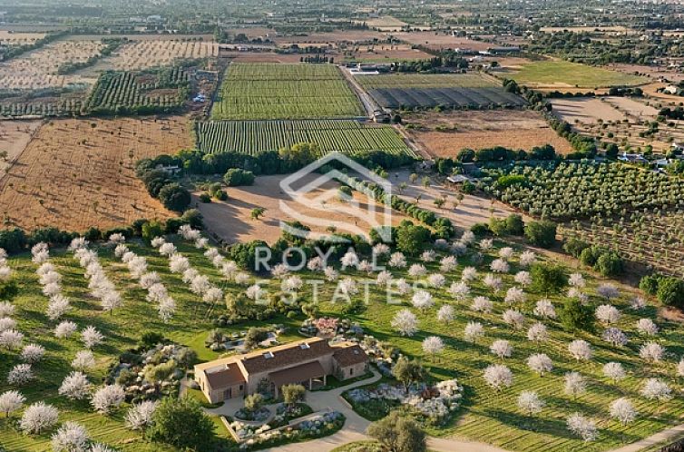 Guest house 16015805 - Holiday property Mallorca - Vrijstaande woning in Binassilem