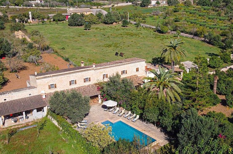 Guest house 1601713 - Holiday property Mallorca - Vakantiehuis Charmantes Ferienhaus in Búger mit Privatem Po