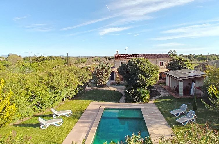 Unterkunft 1601726 - Ferienhaus Mallorca - Vakantiehuis Restauriertes Landhaus in Búger