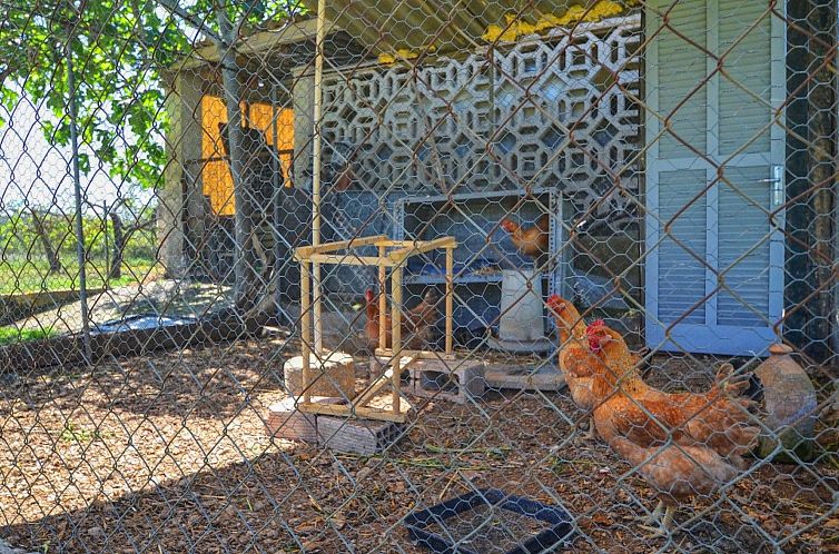Vakantiehuis Gemütliches Landhaus mit Panoramablick, Pool u