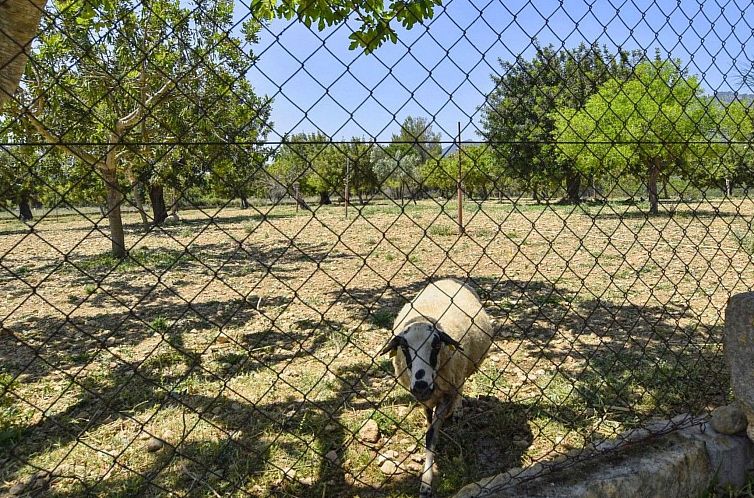 Vakantiehuis Gemütliches Ferienhaus in Selva mit Privatem P