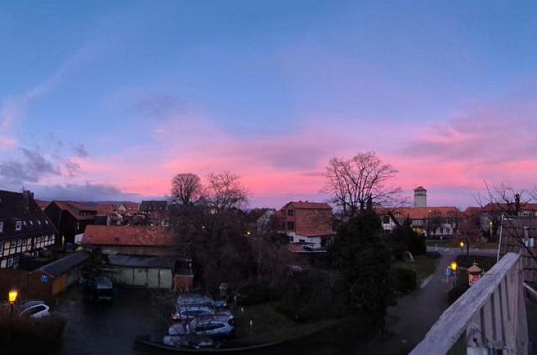 Altstadt Pension Orchidee