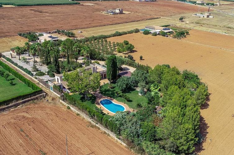 Unterkunft 1602416 - Ferienhaus Mallorca - Vakantiehuis San Vicente