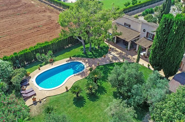 Vakantiehuis San Vicente