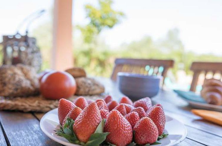 Guest house 1602509 - Holiday property Mallorca - Vakantiehuis Mariposa