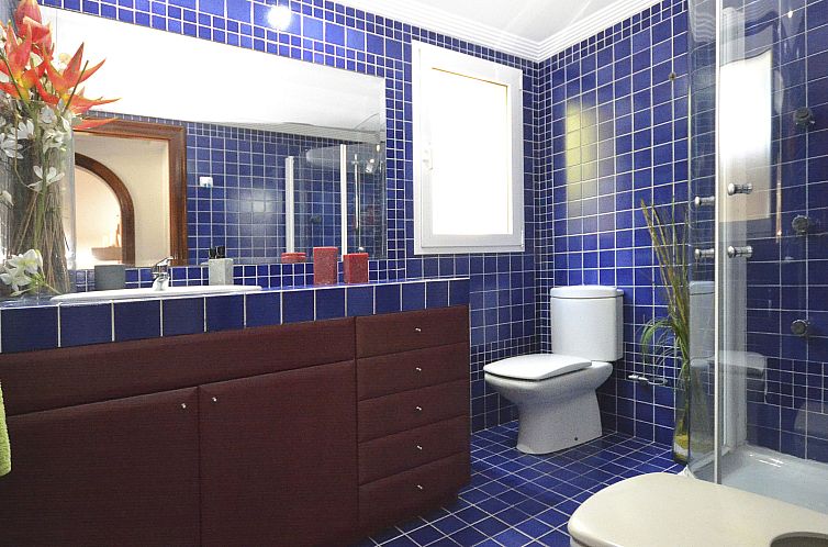 Vakantiehuis Villa Prestige
