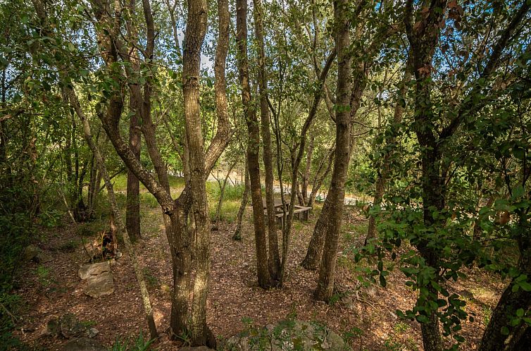 Vakantiehuis La Salve Can Jordi