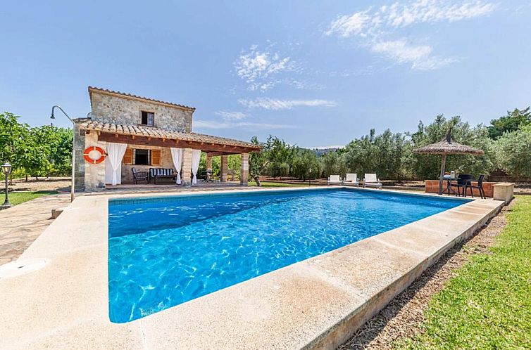 Ontspan bij het zwembad van vakantiewoning Roqueta in Pollenca, Mallorca, met uitzicht op olijfbomen en een zonnige veranda.
