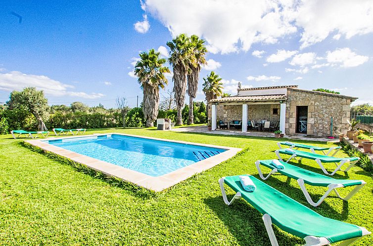Guest house 1602817 - Holiday property Mallorca - Vakantiehuis Can Mateu