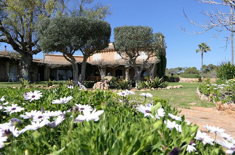 Vakantiehuis Finca Rustica Felostal