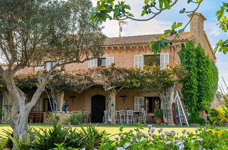 Vakantiehuis Finca Rustica Felostal