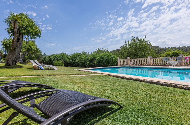 Vakantiehuis Baron 4