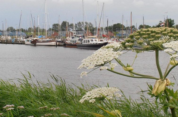 Vakantiewoningen Oostmahorn