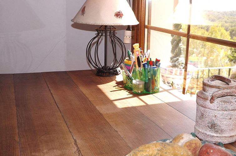 Vakantiehuis Finca Es Cau, mit Schwimmbad, Meerblick und Wif