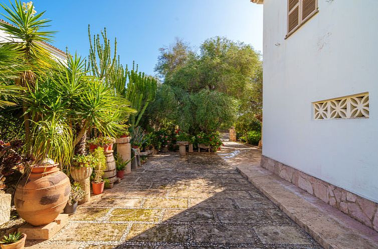 Vakantiehuis Can Damia