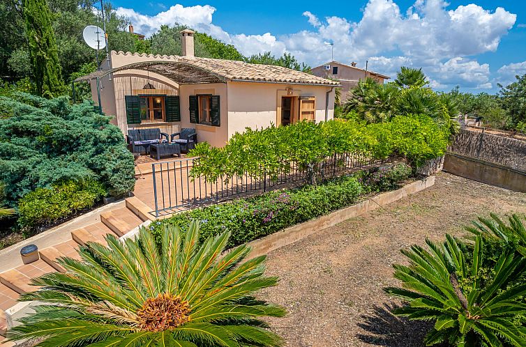 Vakantiehuis Reco de Can Pere Mas