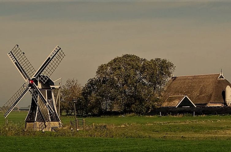 Huisje in Anjum