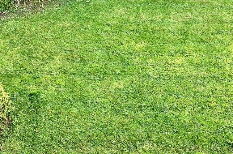 Vakantiehuis 181 Urlaubsruhe