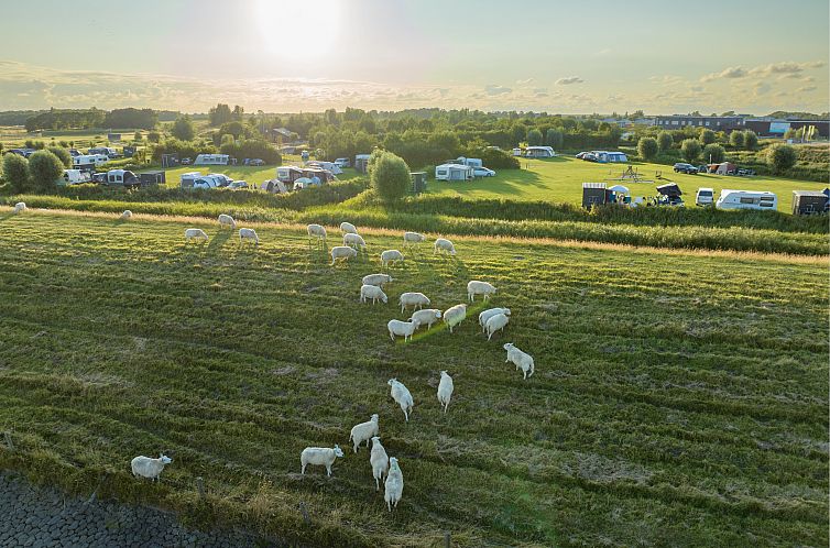 Esonstad | Campingplaats met privé sanitair | CS5