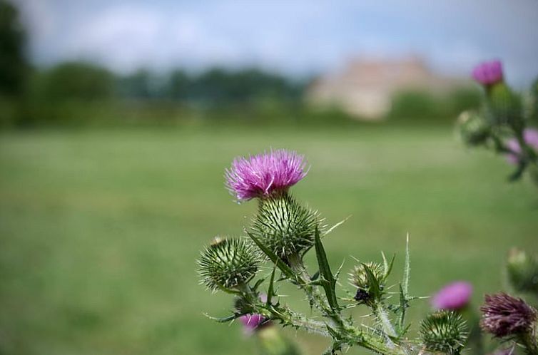 Vakantiehuis in Eanjum