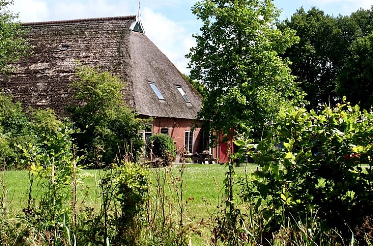 Vakantiehuis in Eanjum