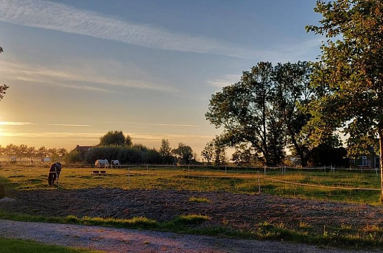 Vakantiehuis in Eanjum