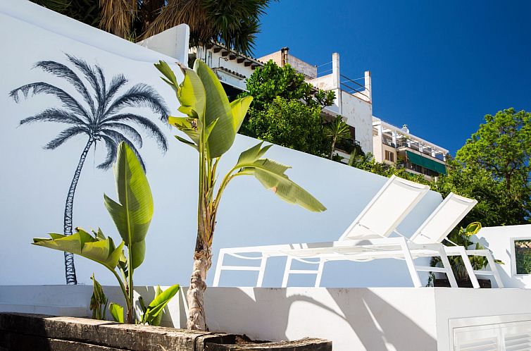 Vakantiehuis VILLA OASIS TERRA BLANCA
