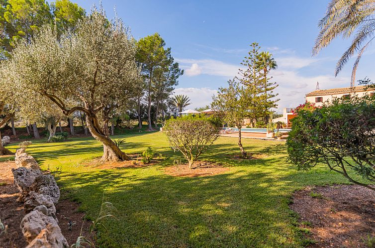 Vakantiehuis Ses Sitjoles