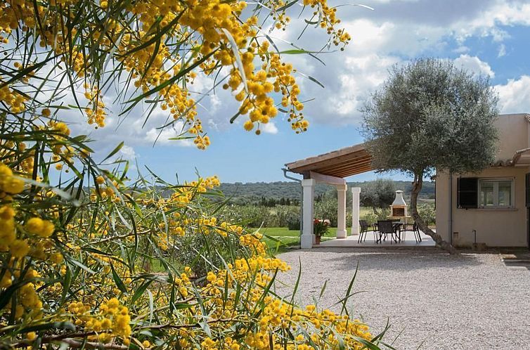 Vakantiehuis in Campos mit Privatem Pool