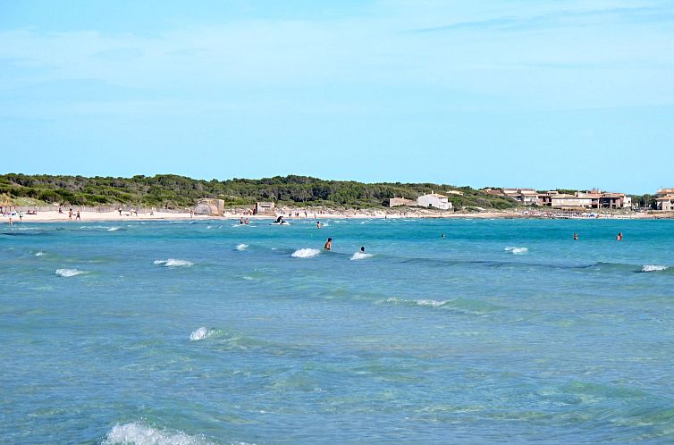 Appartement 1 in Campos