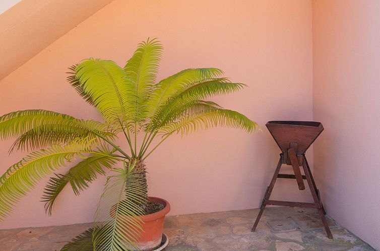 Vakantiehuis Finca "Figueral Vicens" mit privatem Pool