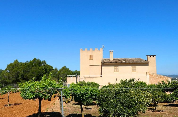 Vakantiehuis Poolfinca Cielo Azul