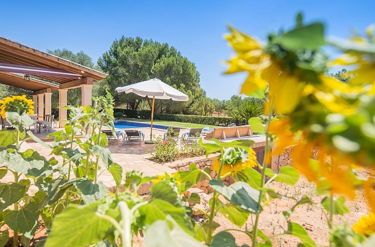 Vakantiehuis Villa "Finca de Luxe" mit eigenem Schwimmbad