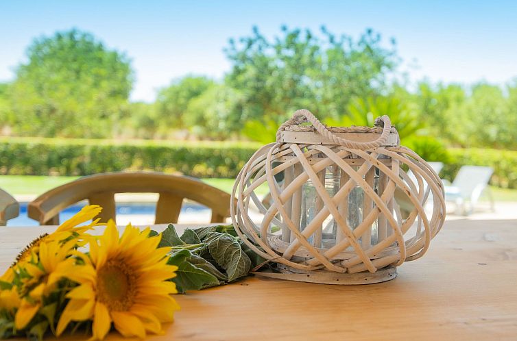 Vakantiehuis Villa "Finca de Luxe" mit eigenem Schwimmbad