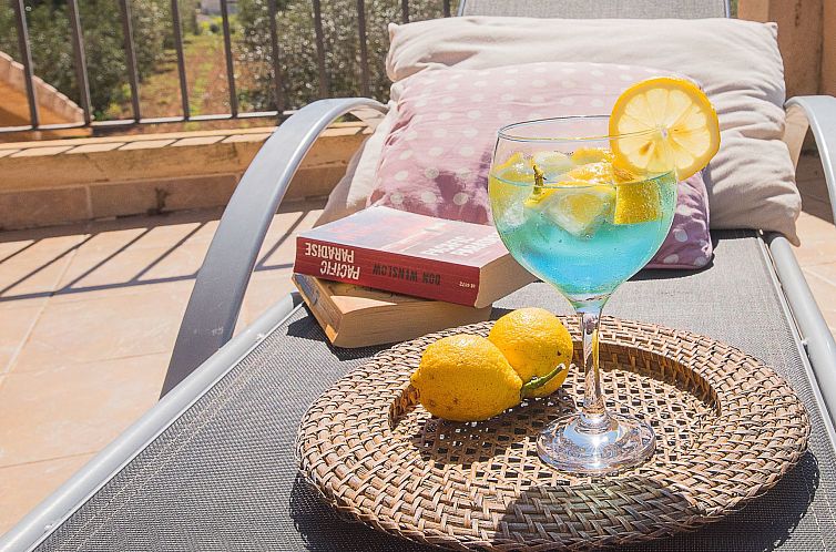 Vakantiehuis Villa "Finca de Luxe" mit eigenem Schwimmbad