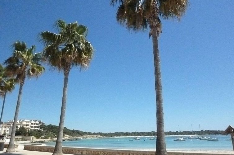 Vakantiehuis Finca Alfabia Campos