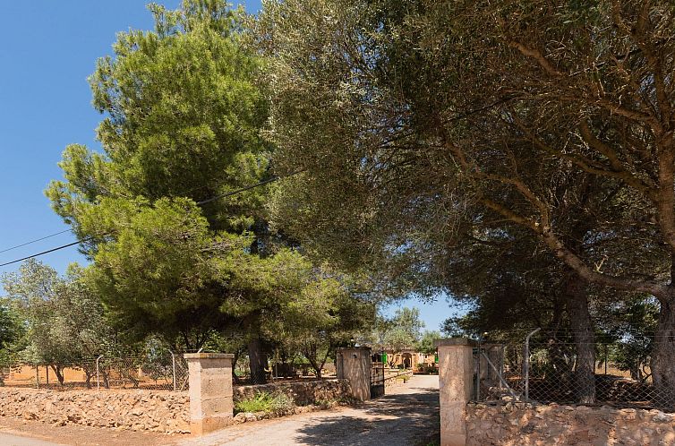 Vakantiehuis Villa Es Tres Pins