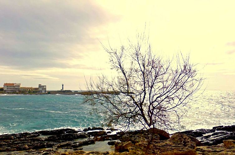 Vakantiehuis Casa Gaviota - CSJ