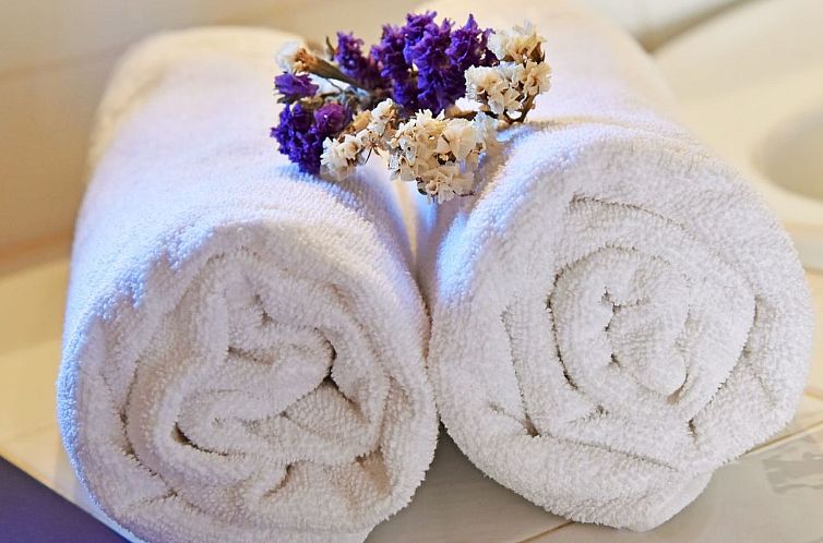 Vakantiehuis Hort de sa Barrala