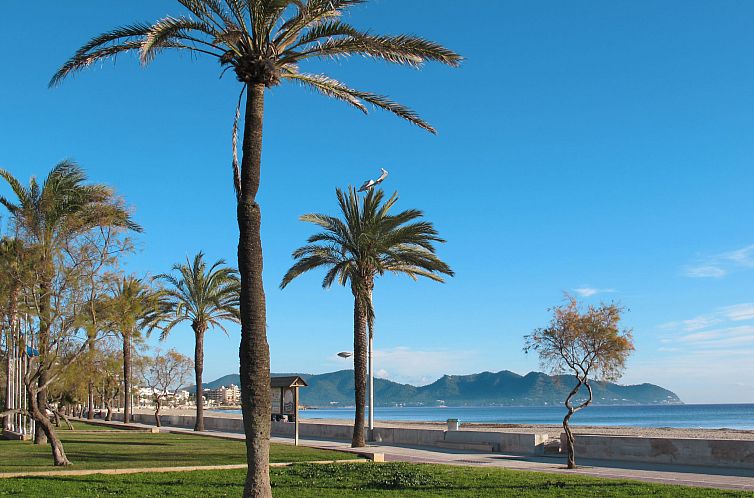 Appartement Wohnung in Cala Millor Los Rosales