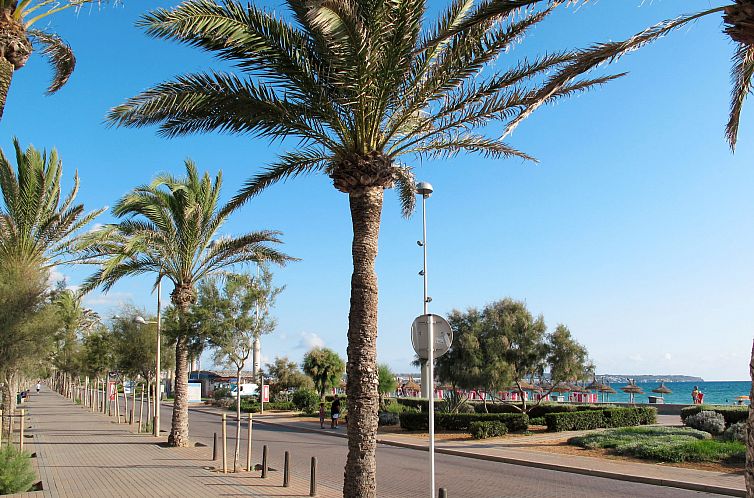 Vakantiehuis Caballeria 12