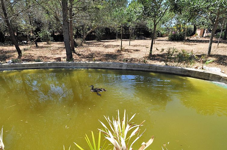 Vakantiehuis Villa con piscina y pista de tenis privada idea