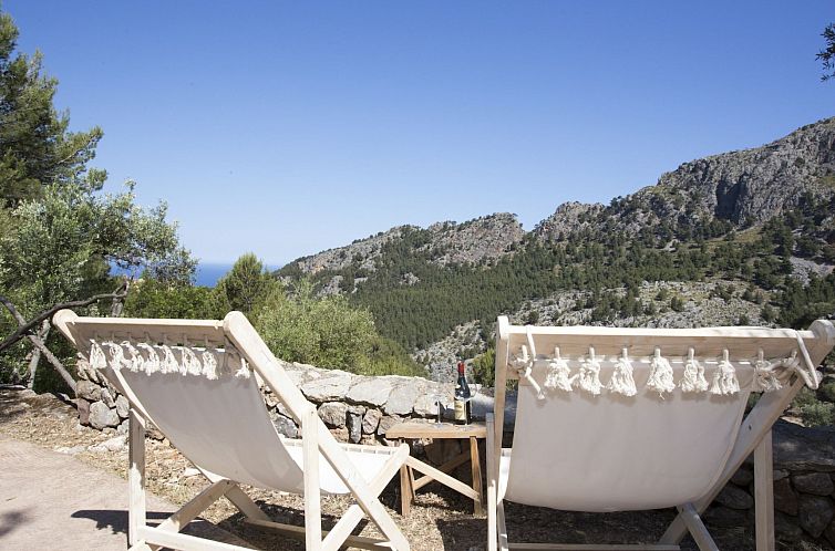 Guest house 1607003 - Holiday property Mallorca - Vakantiehuis VILLA ES COCO SOLLER