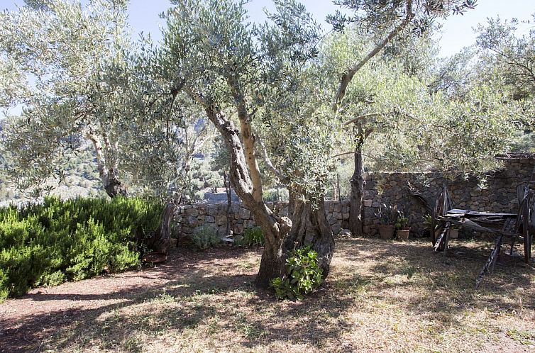 Vakantiehuis VILLA ES COCO SOLLER