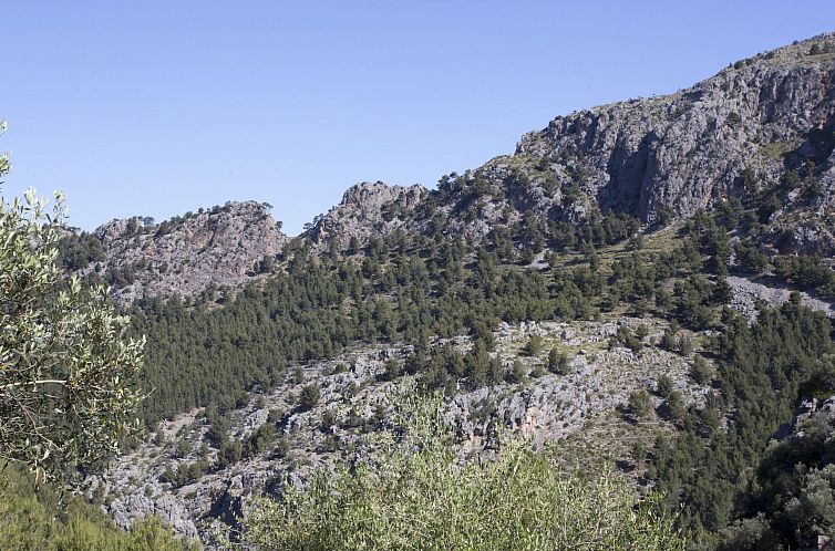 Vakantiehuis VILLA ES COCO SOLLER