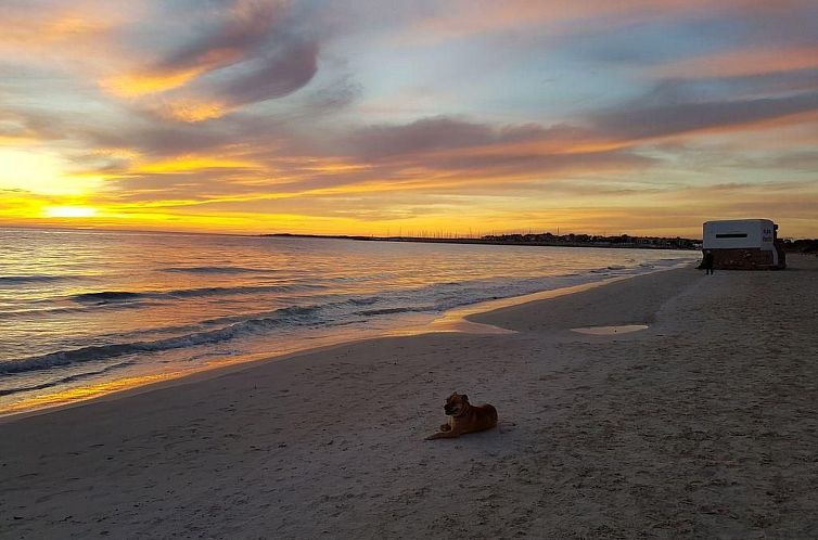 Appartement Wunderschöne Wohnung in Campos mit Terrasse