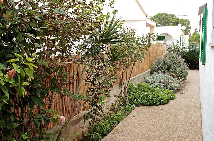 Appartement "Front sea apartament