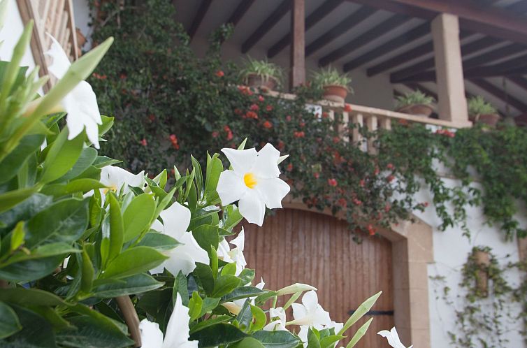 Vakantiehuis Charmante Familienvilla am Meer von Son Veri